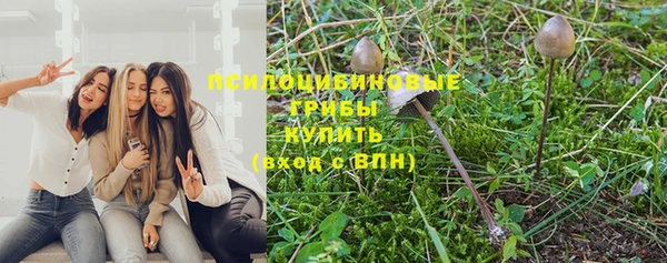 твердый Абдулино